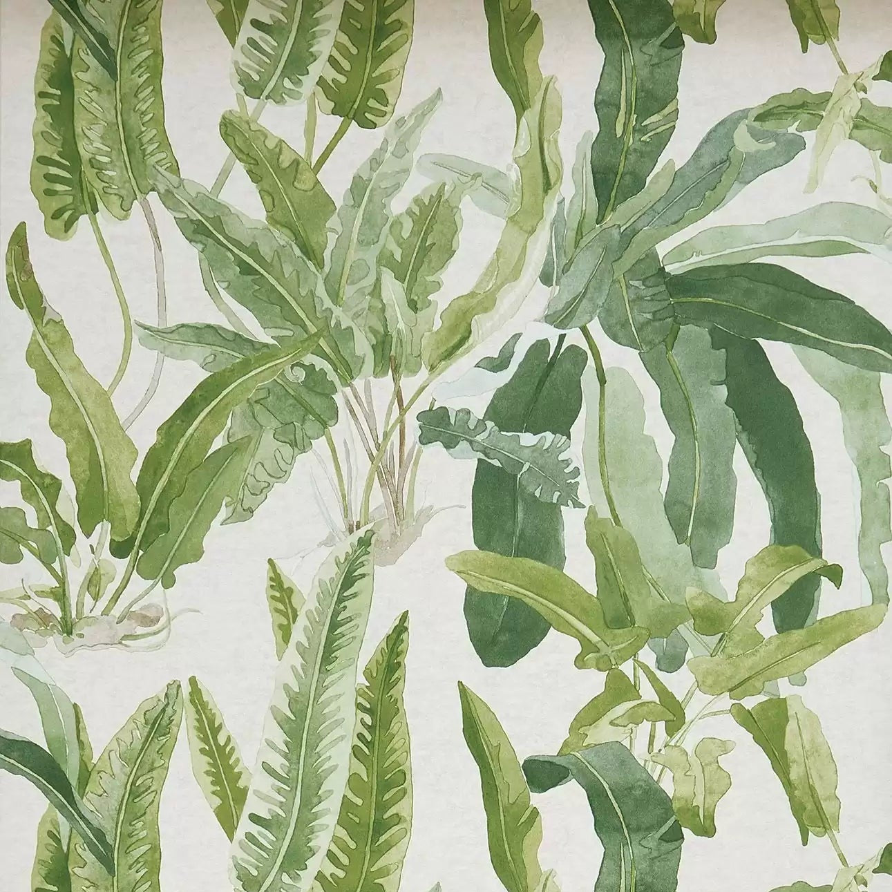 Benmore 02 - Green Wallcovering (main)