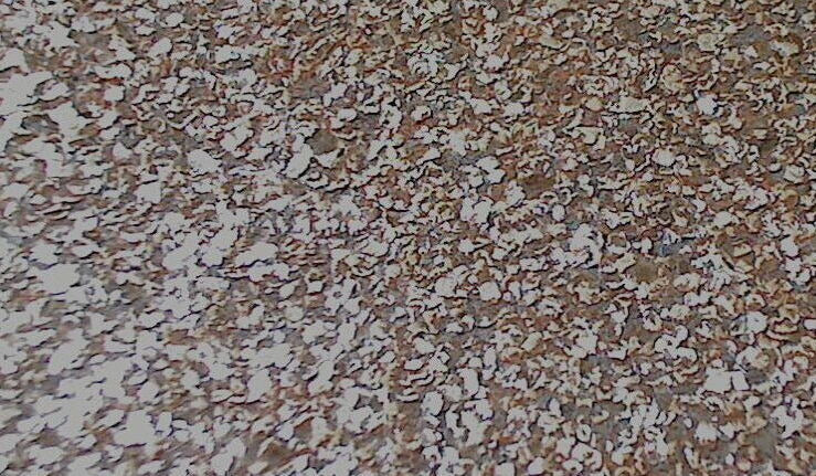 Mica Madness Real Cork Chip s | Phillipe Romano (main)