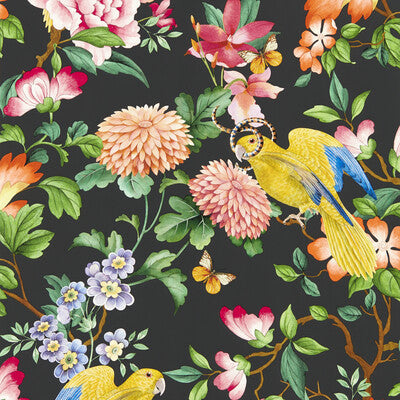 Golden Parrot Wp - Noir Multi (main)