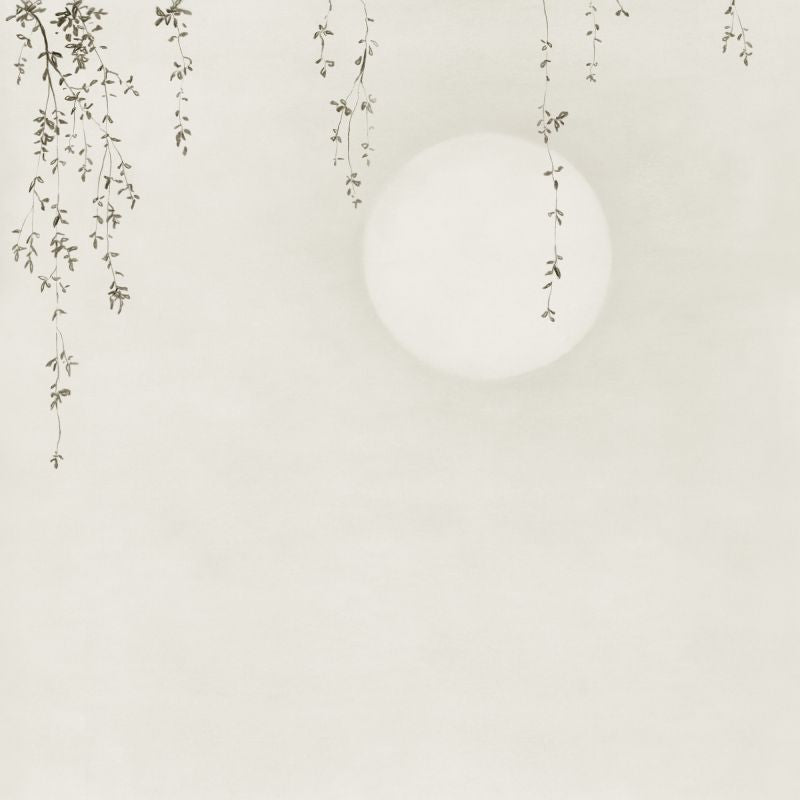 Wabi sabi Sample Wallcovering (main)