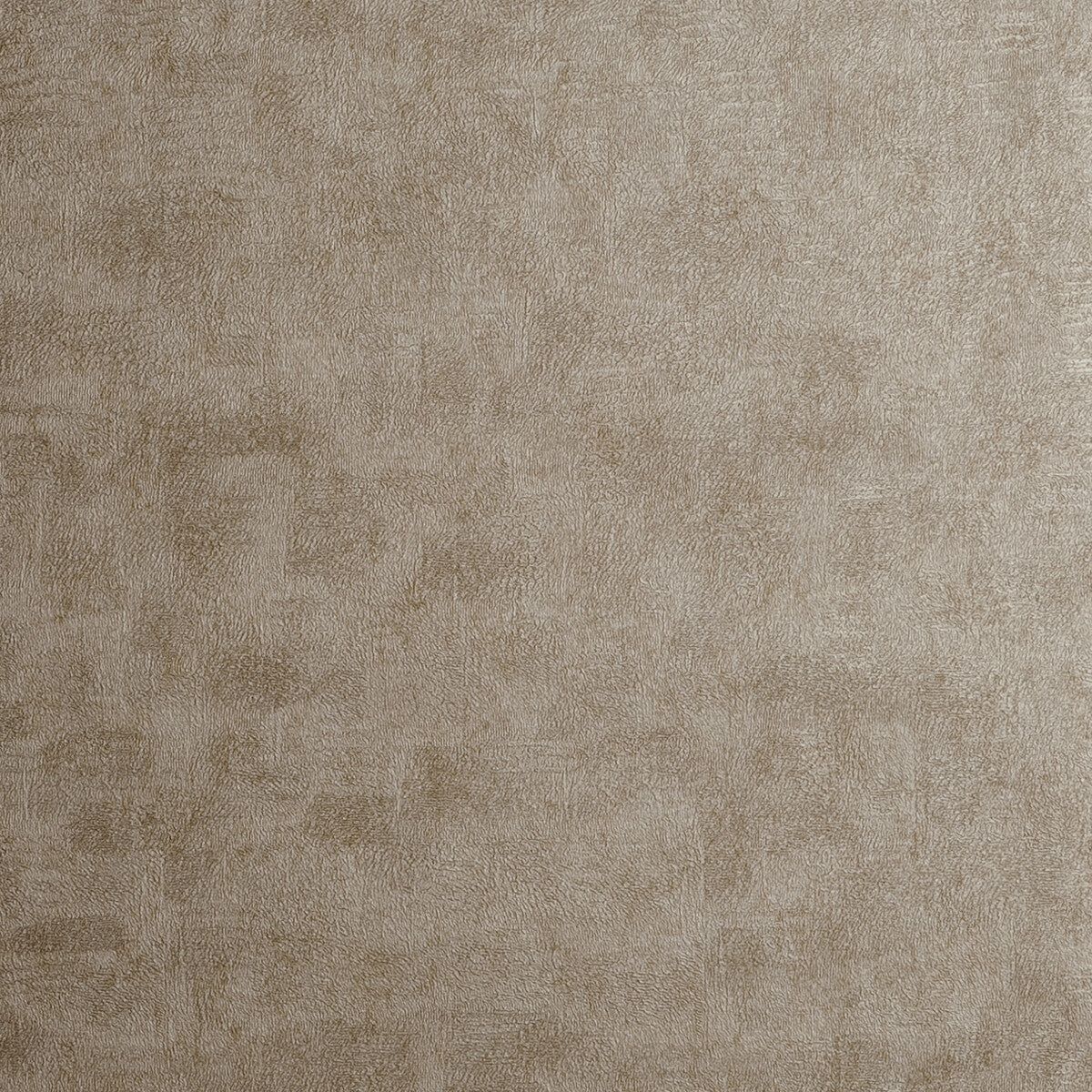 Chinchilla - Antique (main)