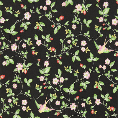 Wild Strawberry Wp - Noir Multi (main)