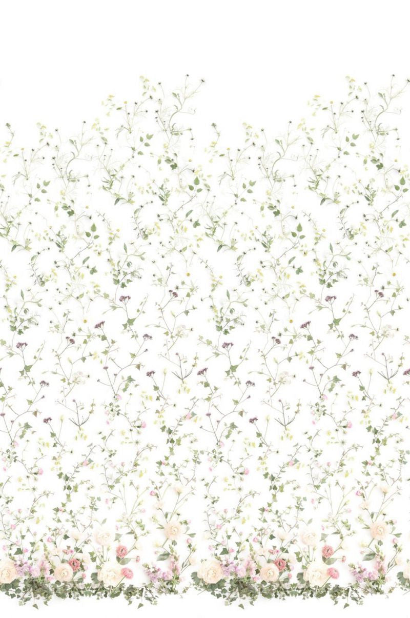 Growing garden Sample Wallcovering (main)