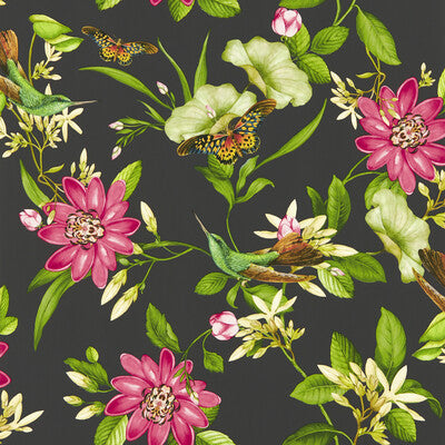 Pink Lotus Wp - Noir Multi (main)