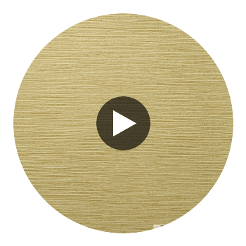 Oxford Type II Vinyl | Hollywood Wallcoverings view 2