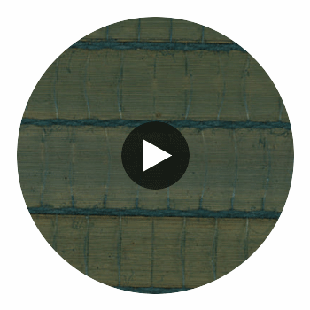 Reeds Drive - Wild Grass | Hollywood Wallcoverings view 2