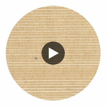 Benedict Canyon Sisal | Hollywood Wallcoverings view 2