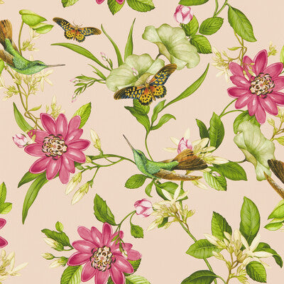 Pink Lotus Wp - Blush Multi (main)
