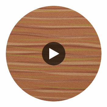 Lanvin Arpergeo Wallcovering view 2
