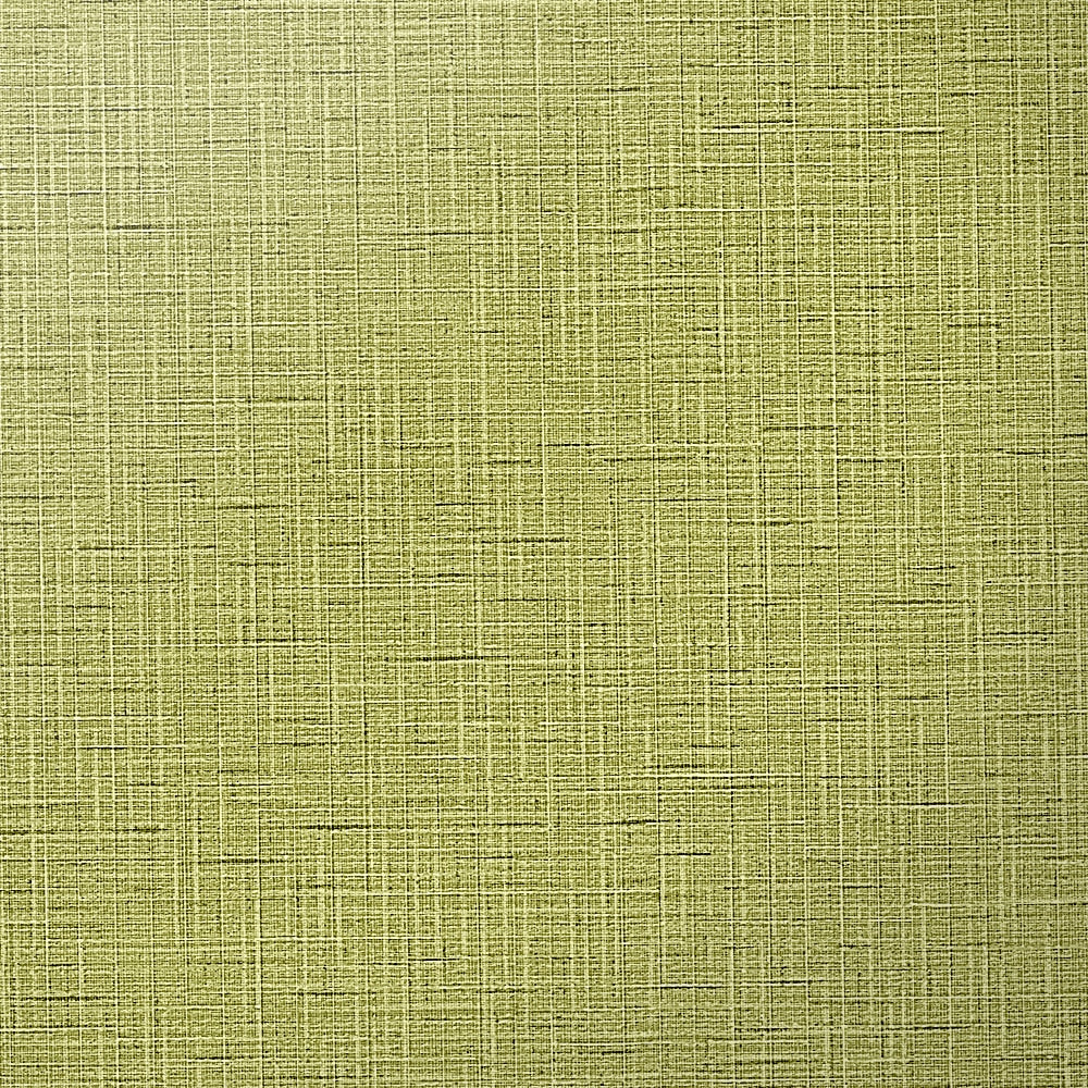 Hollywood Tailored | Hollywood Wallcoverings (main)