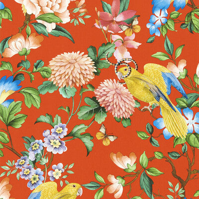 Golden Parrot Wp - Coral Multi (main)