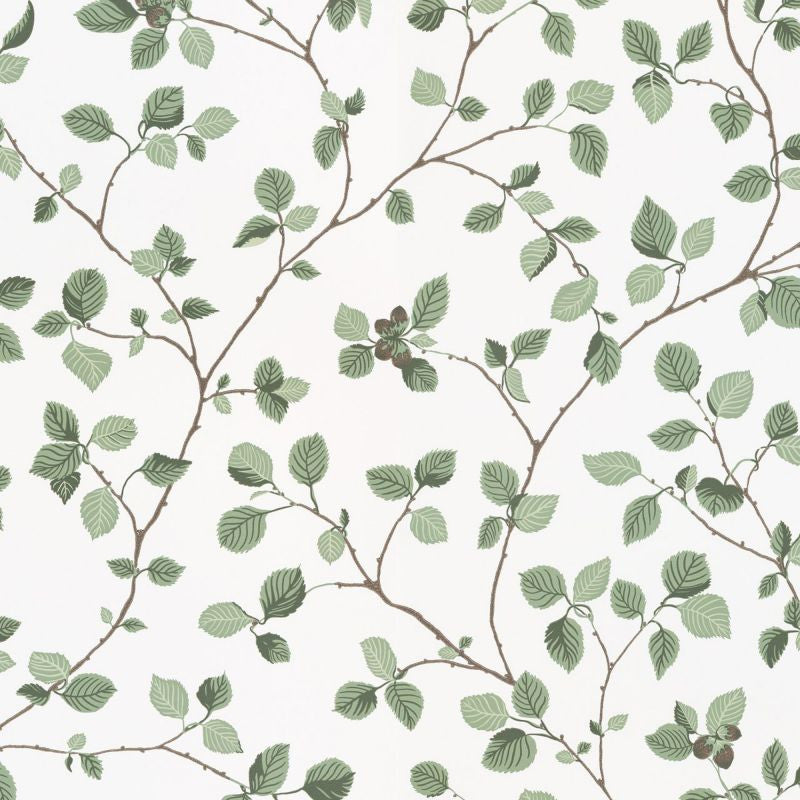 Hassel green Sample Wallcovering (main)