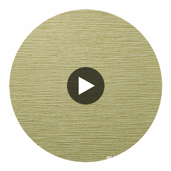 Oxford Type II Vinyl | Hollywood Wallcoverings view 2