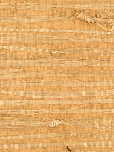 Fire Island Grass - Saffron (main)