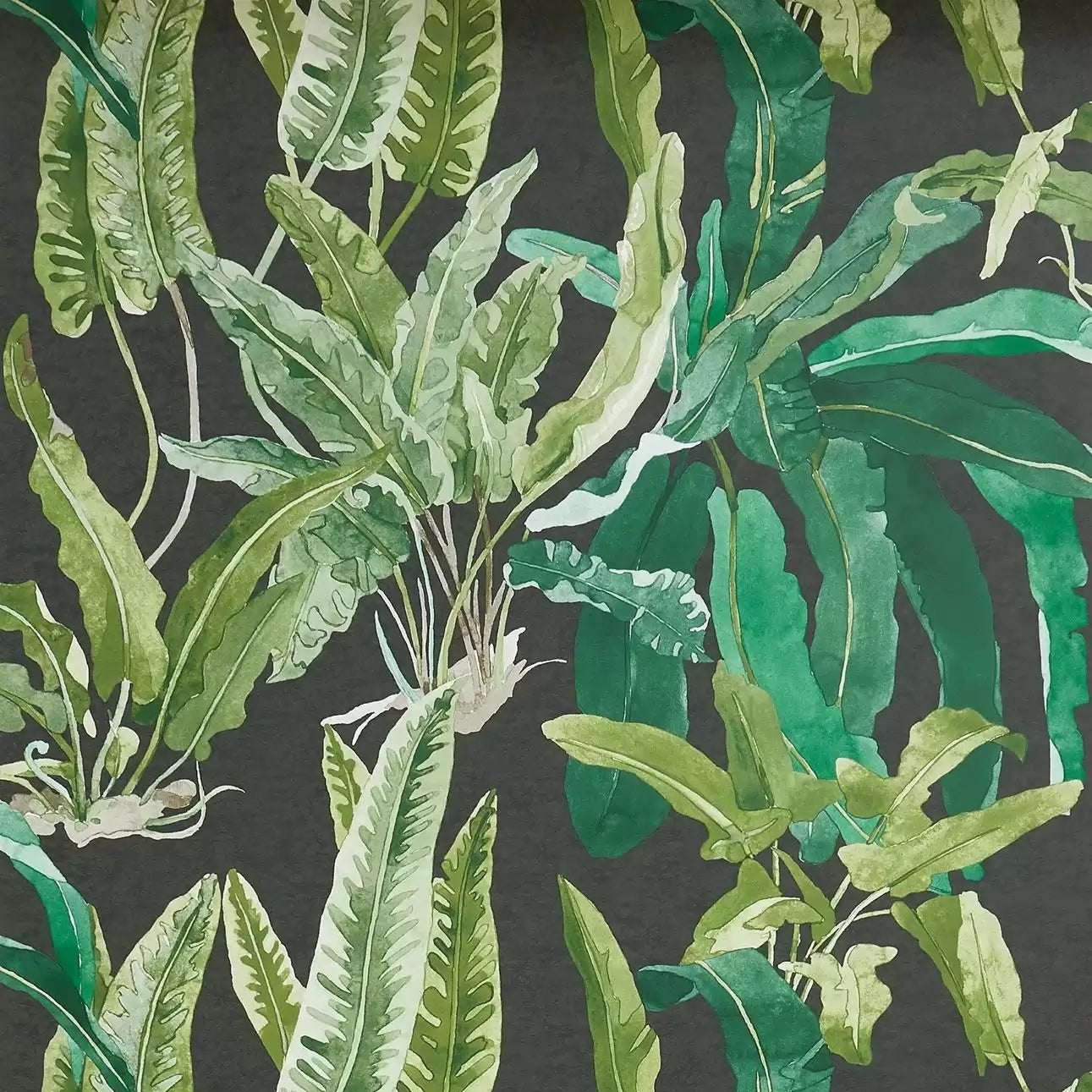 Benmore 01 - Black Wallcovering (main)