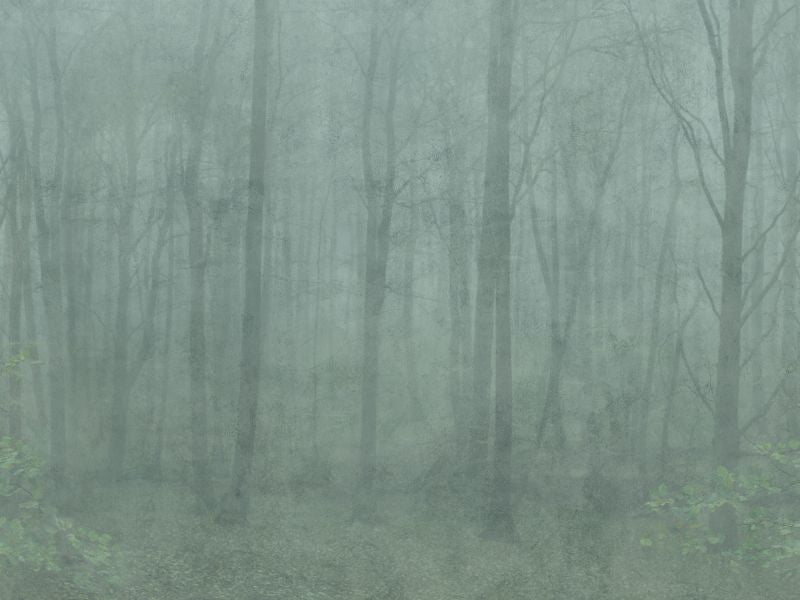 Skog forest green Sample Wallcovering (main)