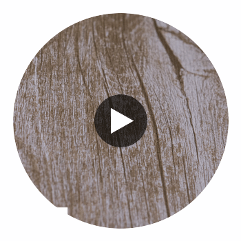 Bosa Marina Rustic Aged Wood Grain | Hollywood Wallcoverings view 2