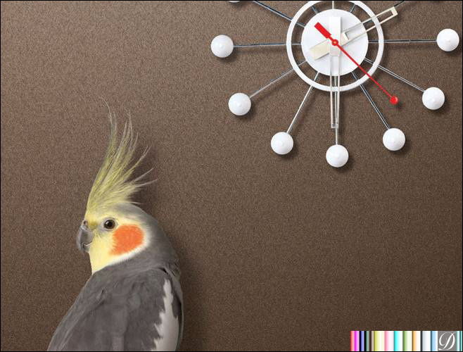 test1 | Hollywood Wallcoverings (main)